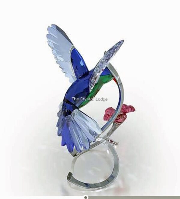 Swarovski_Paradise_birds_Hummingbird_1188779 | The Crystal Lodge