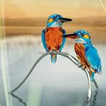 Swarovski_Paradise_birds_Kingfishers_945090_1_WM Swarovski_Paradise_birds_Kingfishers_945090 | The Crystal Lodge