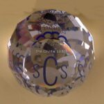 Swarovski_SCS_1987_Charter_member_Paperweight_1_WM Swarovski_SCS_1987_Charter_member_Paperweight | The Crystal Lodge