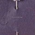 Swarovski_SCS_1988_member_stick_pin_blue_swan_1_WM Swarovski_SCS_1988_member_stick_pin_blue_swan_1_WM