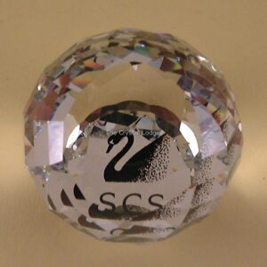 Swarovski_SCS_1992_member_Paperweight_black_swan | The Crystal Lodge