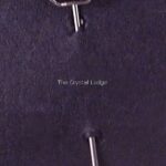 Swarovski_SCS_1992_member_stick_pin_black_swan_1_WM Swarovski_SCS_1992_member_stick_pin_black_swan | The Crystal Lodge