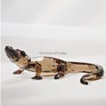 Swarovski_SCS_2016_Event_baby_crocodile_5135902_1_WM Swarovski_SCS_2016_Event_baby_crocodile_5135902 | The Crystal Lodge