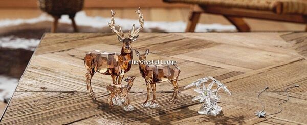 Swarovski_SCS_2020_Doe_5490312 | The Crystal Lodge