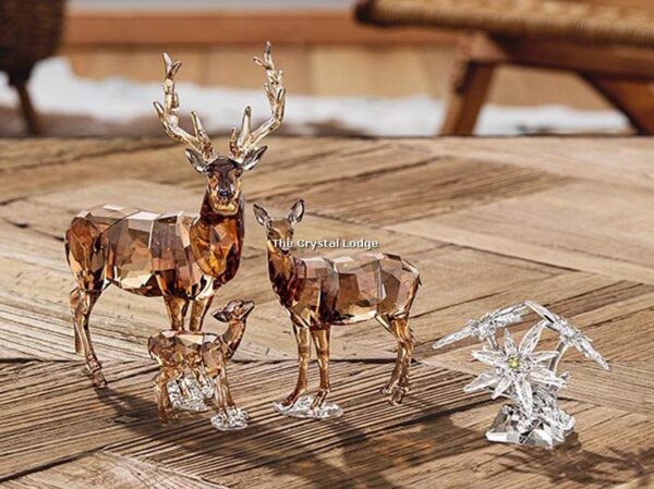Swarovski_SCS_2020_Doe_5490312 | The Crystal Lodge