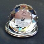 Swarovski_SCS_25th_anniversary_keyring_283322_1_WM Swarovski_SCS_25th_anniversary_keyring_283322 | The Crystal Lodge