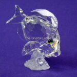 Swarovski_SCS_Blue_tang_fish_clear_883822_1_WM Swarovski_SCS_Blue_tang_fish_clear_883822 | The Crystal Lodge