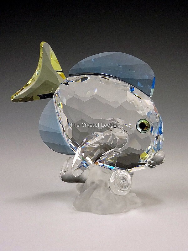 Swarovski_SCS_Blue_tang_fish_colour_886180 | The Crystal Lodge