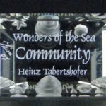 Swarovski_SCS_Community_annual_edition_plaque_1_WM Swarovski_SCS_Community_annual_edition_plaque | The Crystal Lodge