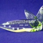 Swarovski_SCS_Endangered_Wildlife_trilogy_plaque_1_WM Swarovski_SCS_Endangered_Wildlife_trilogy_plaque | The Crystal Lodge