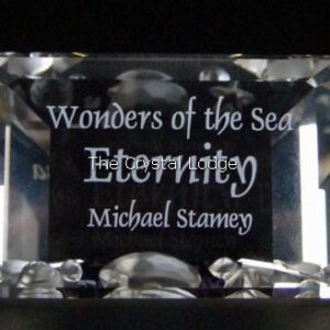 Swarovski_SCS_Eternity_annual_edition_plaque | The Crystal Lodge