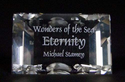 Swarovski_SCS_Eternity_annual_edition_plaque | The Crystal Lodge