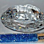 Swarovski_SCS_Tropical_jewel_box_807897_1_WM Swarovski_SCS_Tropical_jewel_box_807897 | The Crystal Lodge