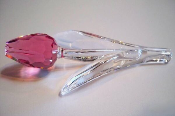 Swarovski_SCS_Tulip_pink_681333 | The Crystal Lodge