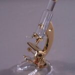 Swarovski_microscope_gold_272878_1_WM Swarovski_microscope_gold_272878 | The Crystal Lodge