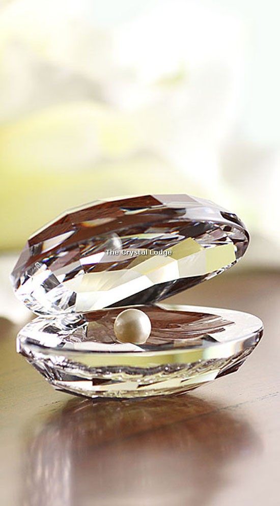 Swarovski_shell_large_oyster_014389 | The Crystal Lodge