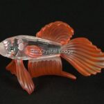 Swarovski_siamese_fighting_fish_red_660941_1_WM Swarovski_siamese_fighting_fish_red_660941 | The Crystal Lodge