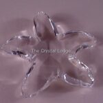 Swarovski_starfish_191690_1_WM Swarovski_starfish_191690 | The Crystal Lodge