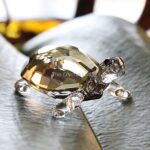 Swarovski_tortoise_teak_954679_1_WM Swarovski_tortoise_teak_954679 | The Crystal Lodge