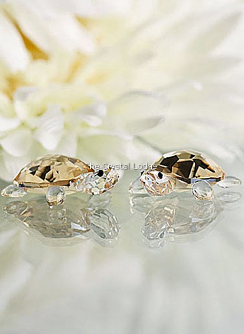 Swarovski_tortoises_baby_golden_set_of_2_1130268 | The Crystal Lodge