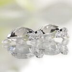 Swarovski_tortoises_baby_set_2_220960_1_WM Swarovski_tortoises_baby_set_2_220960 | The Crystal Lodge