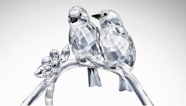 Swarovski_white_eyes_5249843 | The Crystal Lodge
