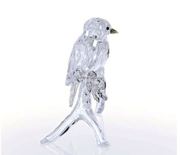 Swarovski_white_eyes_5249843 | The Crystal Lodge