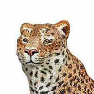 Swarovski Crystal Myriad Gallery - Swarovski designs