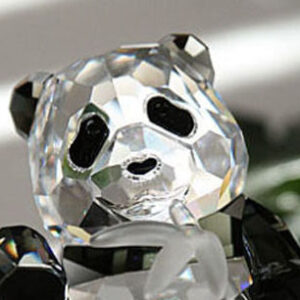 Swarovski SCS member items - Special Edition pieces