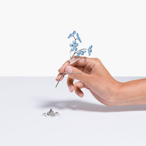Swarovski_Flower_dreams_forget-me-not_large_5490754 | The Crystal Lodge
