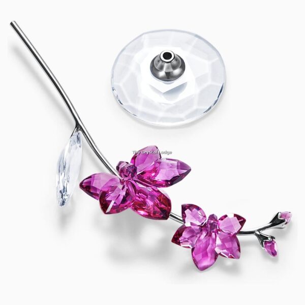 Swarovski_Flower_dreams_orchid_large_5490755 | The Crystal Lodge