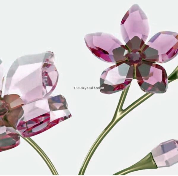 Swarovski_Garden_Tales_Cherry_Blossom_5557797 | The Crystal Lodge