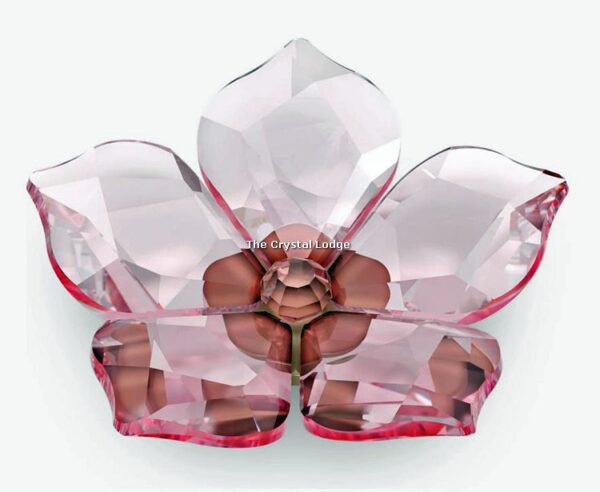 Swarovski_Garden_Tales_Cherry_Blossom_magnet_large_5580026 | The Crystal Lodge