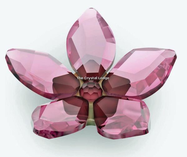 Swarovski_Garden_Tales_cherry_blossom_magnet_small_5580027 | The Crystal Lodge