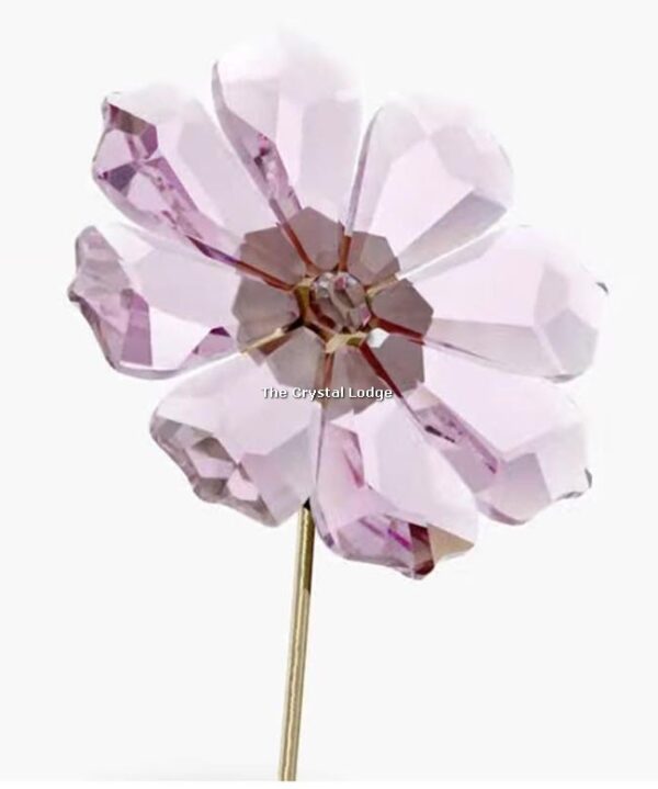 Swarovski_Garden_Tales_cosmos_5557801 | The Crystal Lodge
