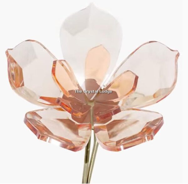 Swarovski_Garden_Tales_magnolia_5557799 | The Crystal Lodge