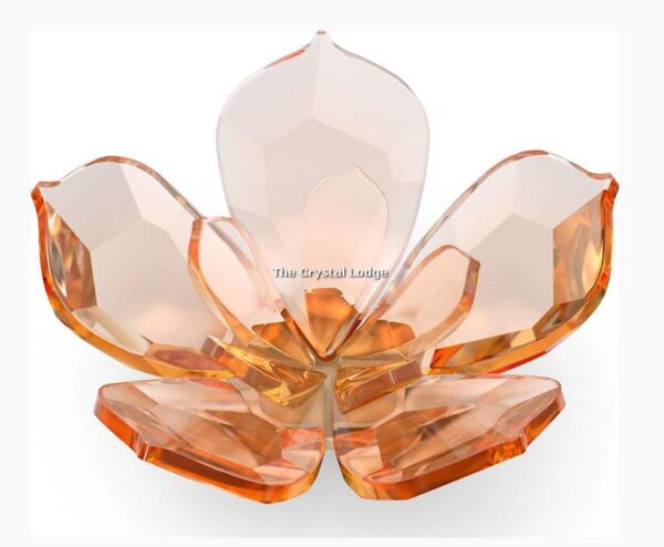 Swarovski_Garden_Tales_magnolia_magnet_large_5580028 | The Crystal Lodge
