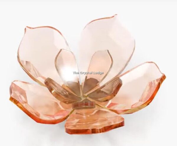 Swarovski_Garden_Tales_magnolia_magnet_large_5580028 | The Crystal Lodge