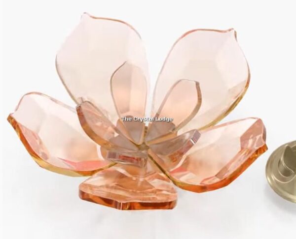 Swarovski_Garden_Tales_magnolia_magnet_large_5580028 | The Crystal Lodge