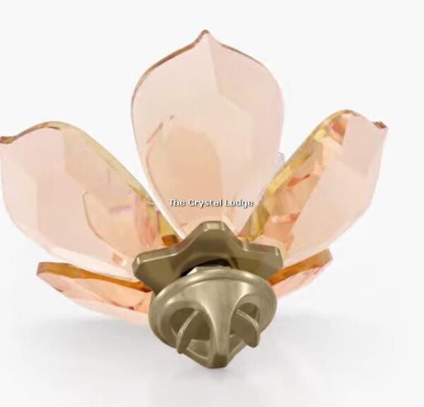 Swarovski_Garden_Tales_magnolia_magnet_large_5580028 | The Crystal Lodge