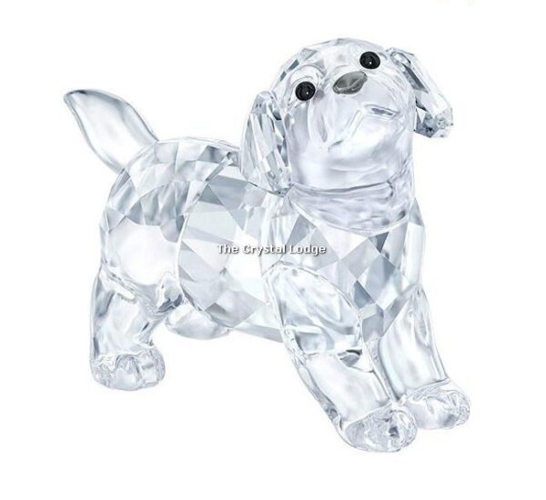Swarovski_Labrador_standing_5400141 | The Crystal Lodge