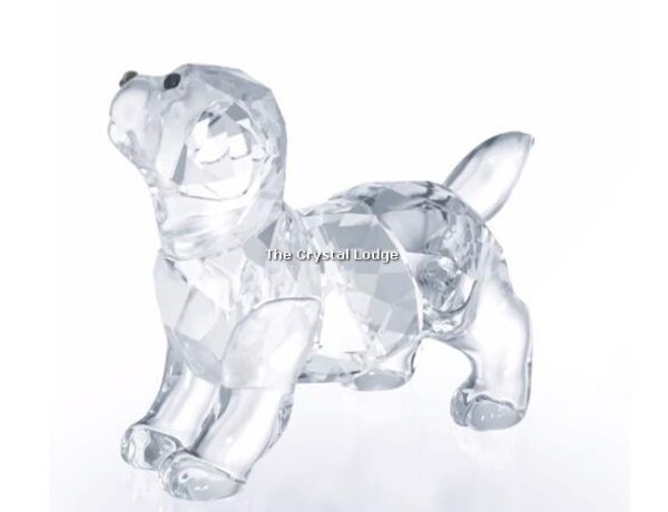 Swarovski_Labrador_standing_5400141 | The Crystal Lodge