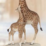 Swarovski_Myriad_Kya_Giraffe_5302525_1_WM Swarovski_Myriad_Kya_Giraffe_5302525 | The Crystal Lodge