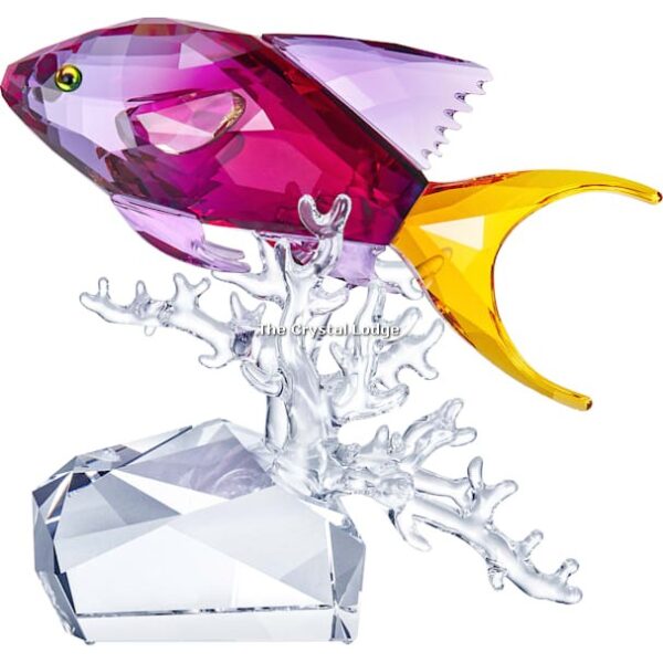 Swarovski_Paradise_Anthias_fish_5428651 | The Crystal Lodge