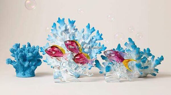 Swarovski_Paradise_Anthias_fish_2019_v2_5494699
