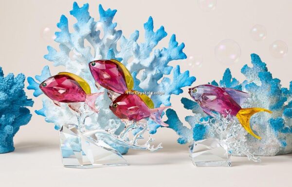 Swarovski_Paradise_Anthias_fish_2019_v2_5494699