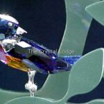 Swarovski_Paradise_birds_object_Benua_blue_275572_1_WM Swarovski_Paradise_birds_object_Benua_blue_275572 | The Crystal Lodge