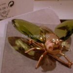 Swarovski_Paradise_bugs_Brooch_fly_akima_olive_medium_242013_1_WM Swarovski_Paradise_bugs_Brooch_fly_akima_olive_medium_242013 | The Crystal Lodge