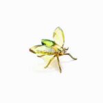 Swarovski_Paradise_bugs_Brooch_fly_akima_topaz_small_242019_1_WM Swarovski_Paradise_bugs_Brooch_fly_akima_topaz_small_242019 | The Crystal Lodge