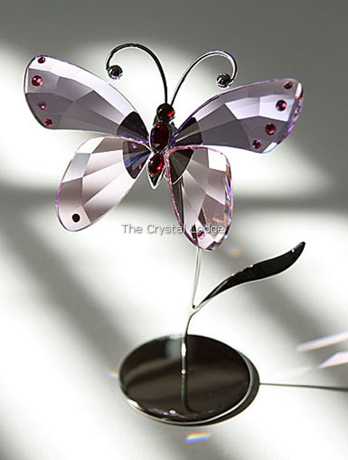 Swarovski_Paradise_bugs_Object_butterfly_acara_violet_719184 | The Crystal Lodge